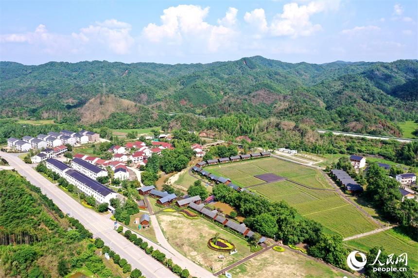 Integrated development of agriculture, culture, tourism revitalizes mountainous village in E China's Jiangxi