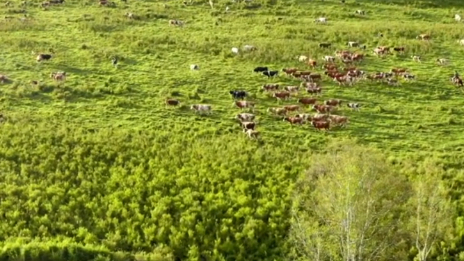 Intoxicating Wusu Langzi Lake