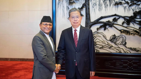 China's top legislator holds talks with chairman of Nepal's national assembly