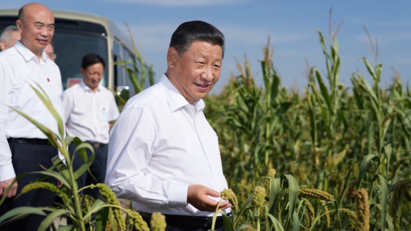 Quotes from Xi: Holding rice bowls firmly in our own hands