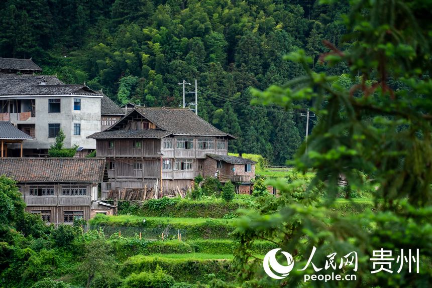 In pics: Beautiful scenery of village of Dong ethnic group in SW China's Guizhou