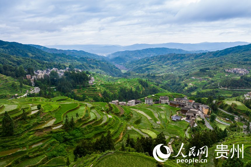 In pics: Beautiful scenery of village of Dong ethnic group in SW China's Guizhou
