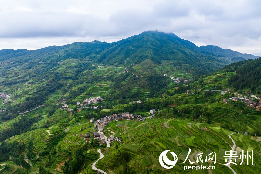 In pics: Beautiful scenery of village of Dong ethnic group in SW China's Guizhou