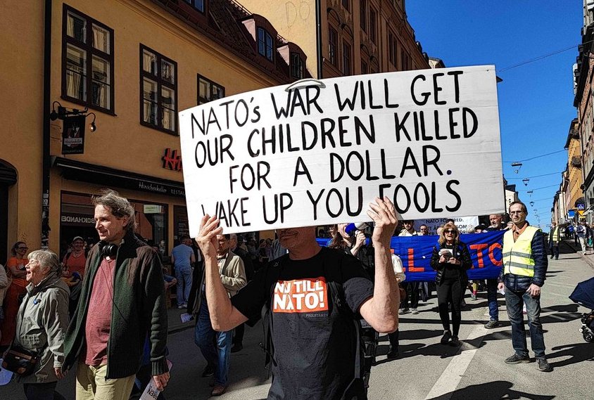 Organizations oppose Sweden's NATO accession ahead of summit