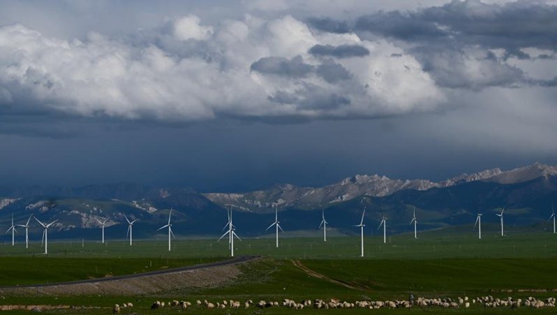 Scenery of grassland in Tianjun County, NW China's Qinghai