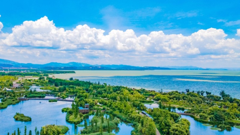Discover ecological beauty of wetland at Dianchi Lake in SW China's Yunnan