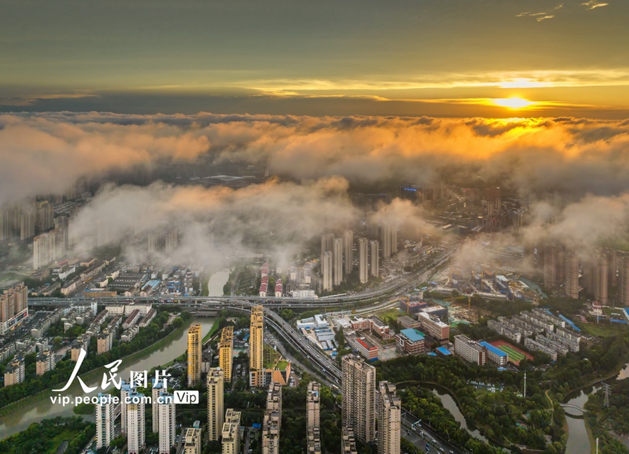 Stunning views of sea of clouds over Hefei, E China's Anhui