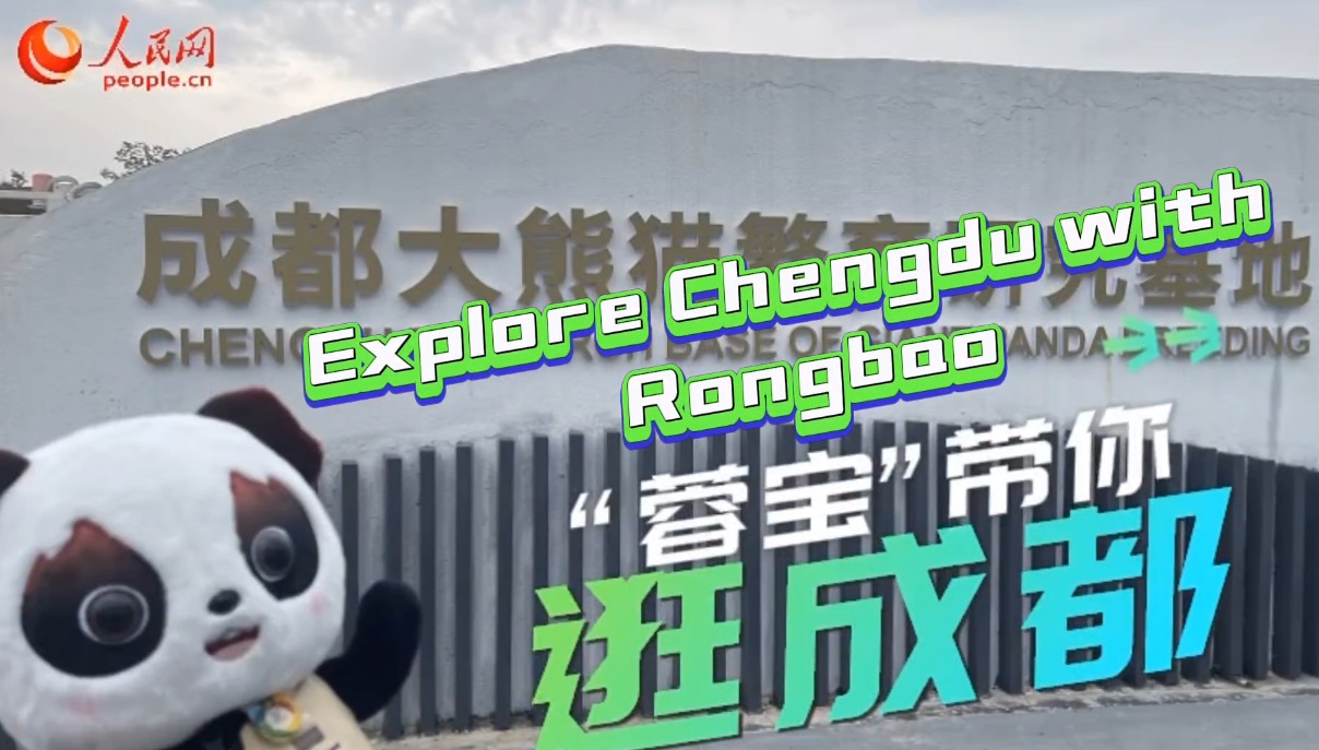 Rongbao meets its giant panda inspiration, Zhi Ma