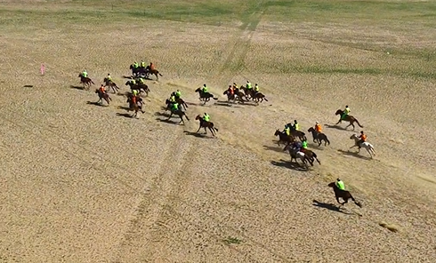 Six-year-old jockey wins 15km horse race in North China