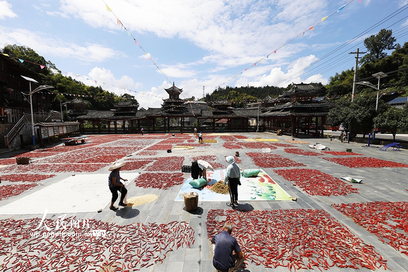 Farmers sun-dry crops in Jinping county, SW China's Guizhou