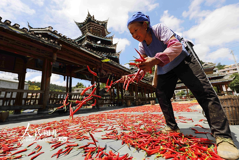 Farmers sun-dry crops in Jinping county, SW China's Guizhou