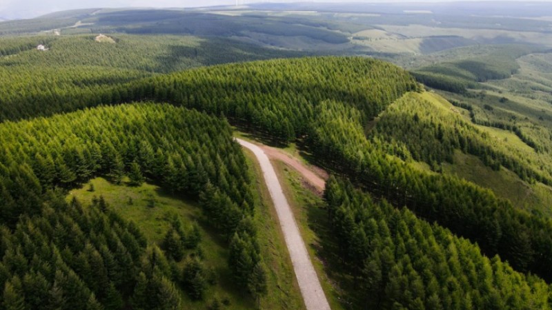 China's water, soil erosion area declines in 2022