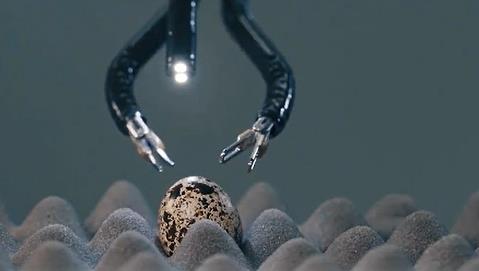 China-made surgical robots peel shells from raw quail eggs
