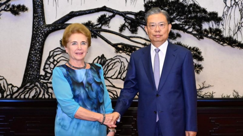 China's top legislator calls for strengthened cooperation with Hungarian National Assembly