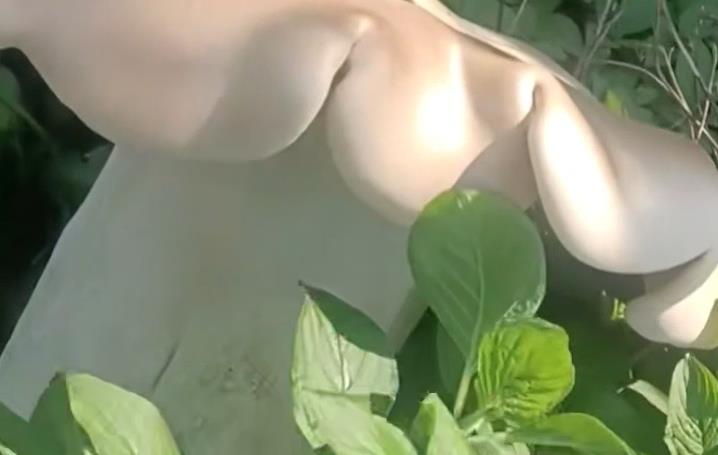 Villager digs up 3.2 kg wild fungus in SW China's Yunnan