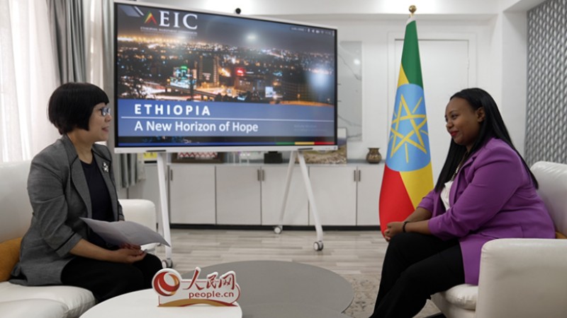 Ethiopia to implement favorable policies to attract Chinese investment: Ethiopian Investment Commissioner