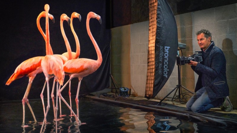 Tim Flach: Reflecting on how people can live in harmony with nature