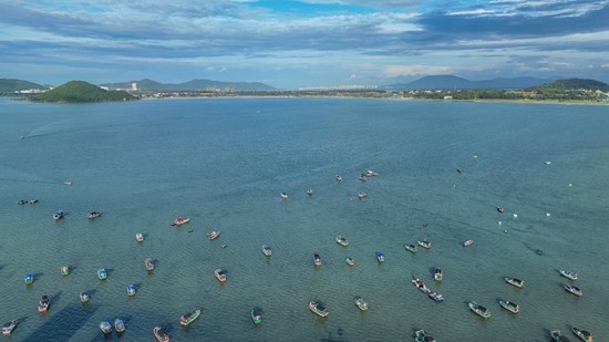 Xiamen University's young researchers explore seaweed's role in carbon capture