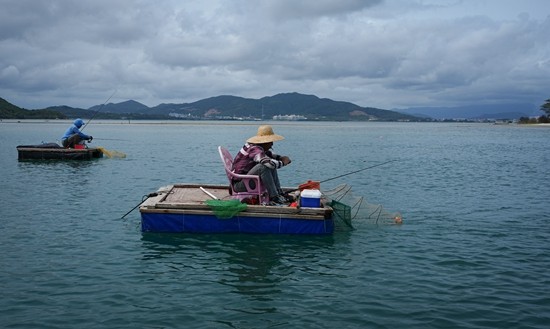 Xiamen University's young researchers explore seaweed's role in carbon capture