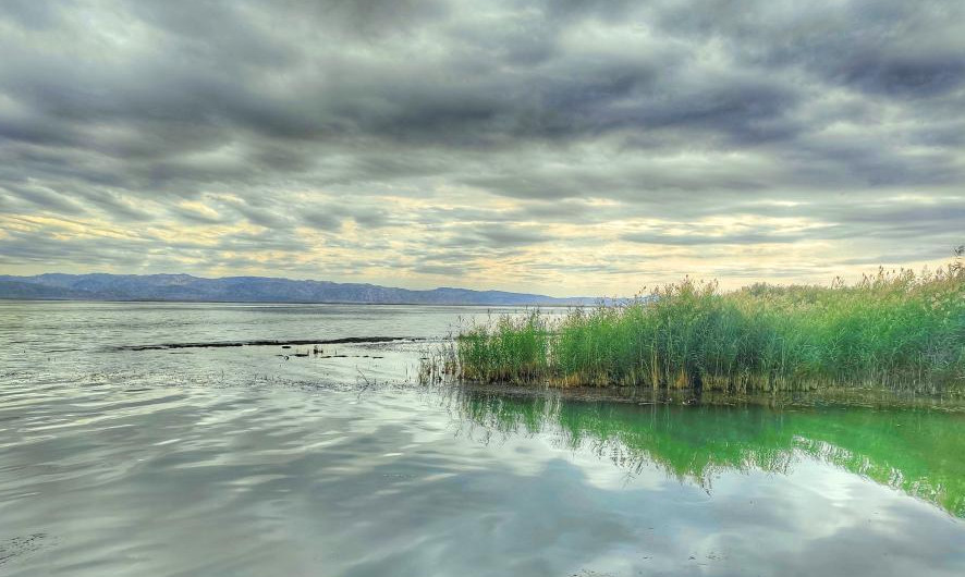 Autumn scenery on Bosten Lake with flowering reed
