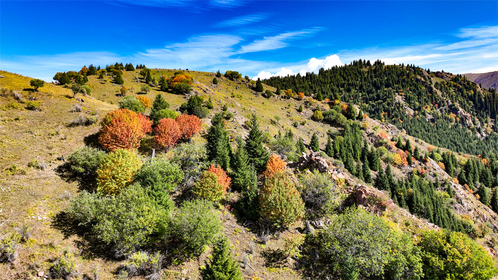 Breathtaking aerial views of Duolang Canyon in NW China's Xinjiang