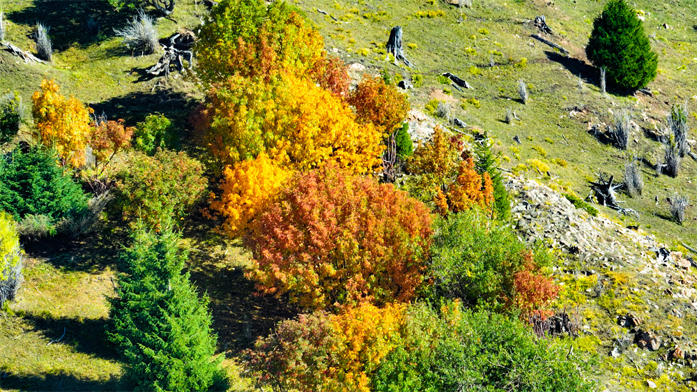 Breathtaking aerial views of Duolang Canyon in NW China's Xinjiang