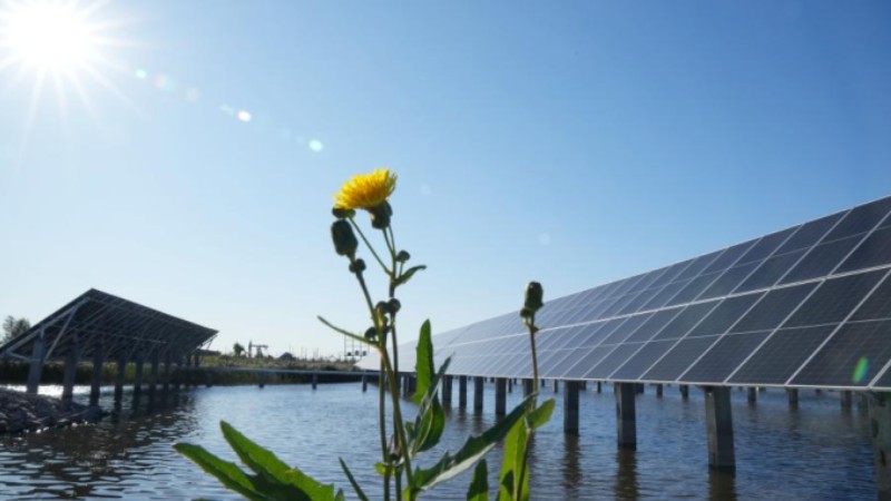 In pics: water surface photovoltaic power station of Daqing Oilfield