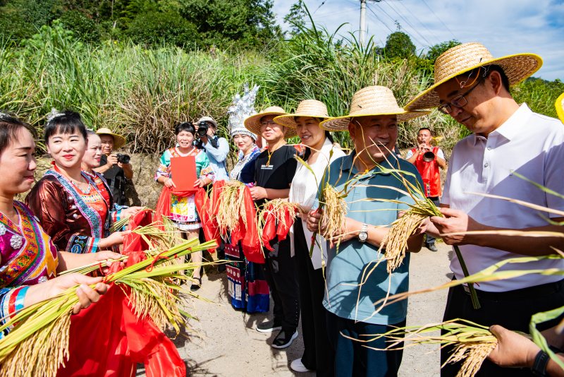 In pics: villagers holds ceremony for harvesting rice in C China's Hunan