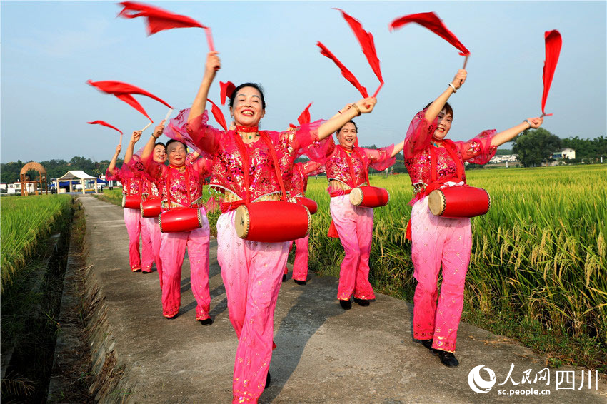 In pics: Autumn harvest in Renshou, SW China's Sichuan