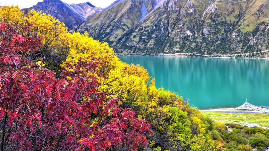 Lhari County in Tibet ushers into golden autumn