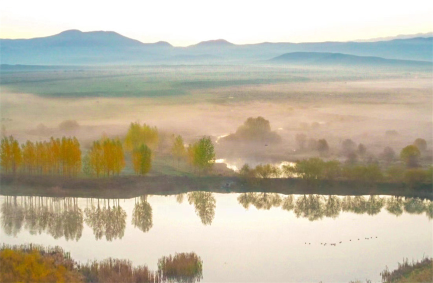 Morning mist transforms wetlands in Zhaosu, China's Xinjiang into 'Chinese ink wash painting'