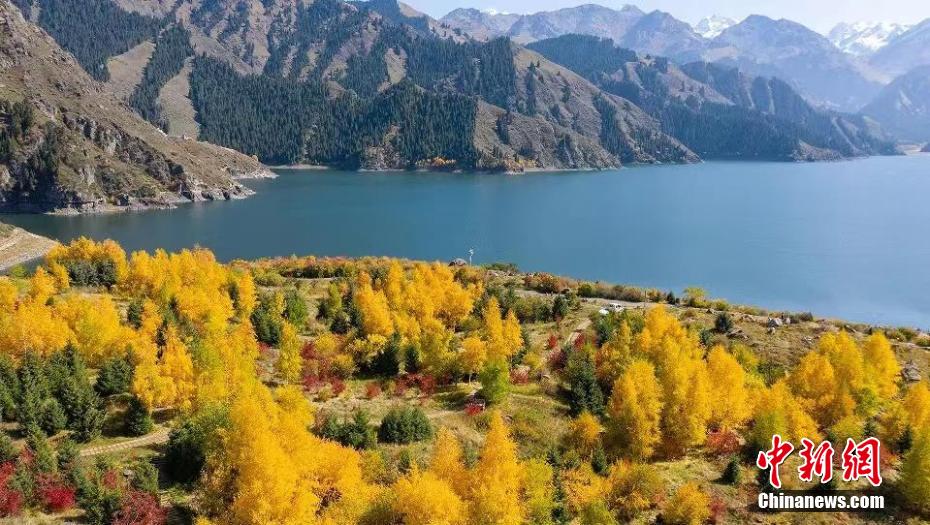Tianchi Lake in NW China's Xinjiang offers its best autumn views of the year