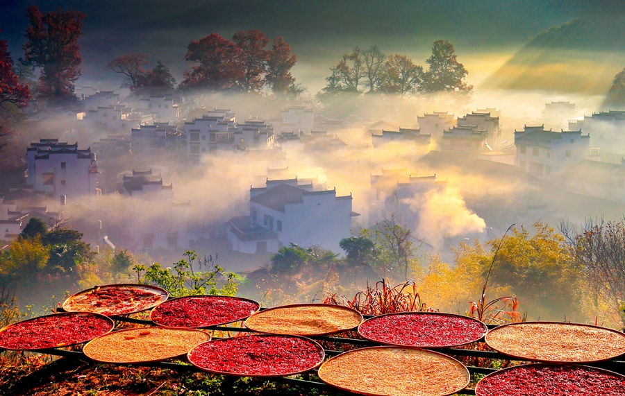 Scenes of bountiful autumn harvests across China