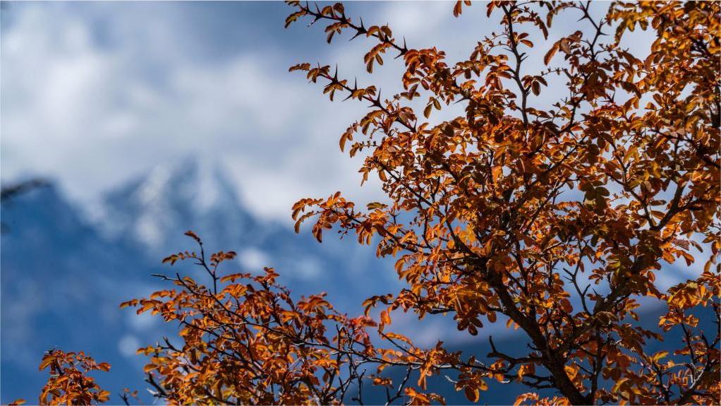 Autumn scenery of Hongla Mountain in SW China's Tibet