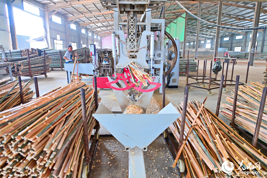 Bamboo industry boosts rural revitalization in county of E China's Jiangxi