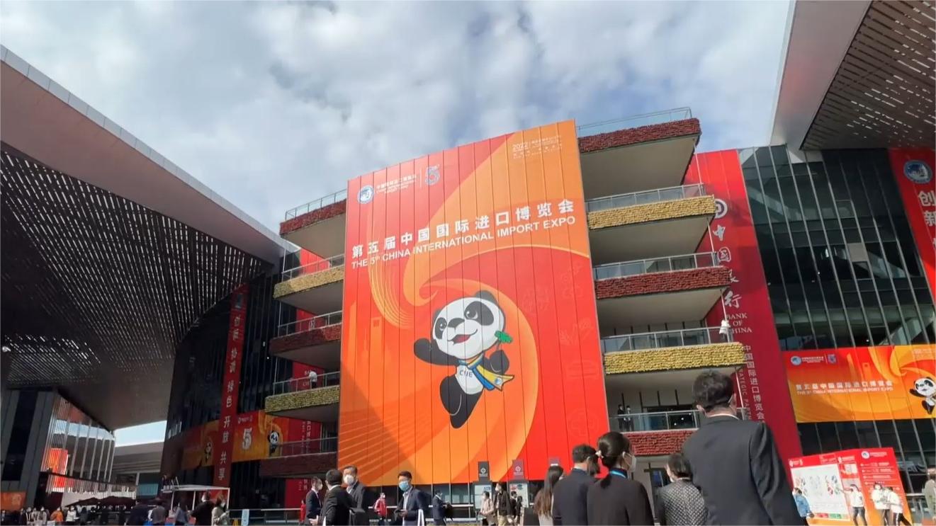 Young Belt and Road entrepreneurs pursue dreams in China