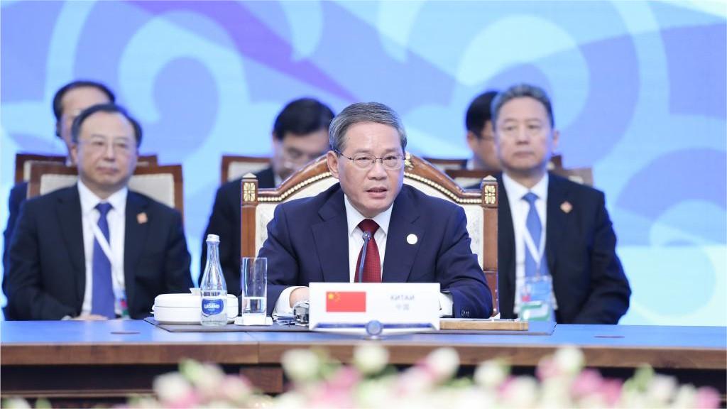 Regional affairs should be decided without external interference: Chinese premier