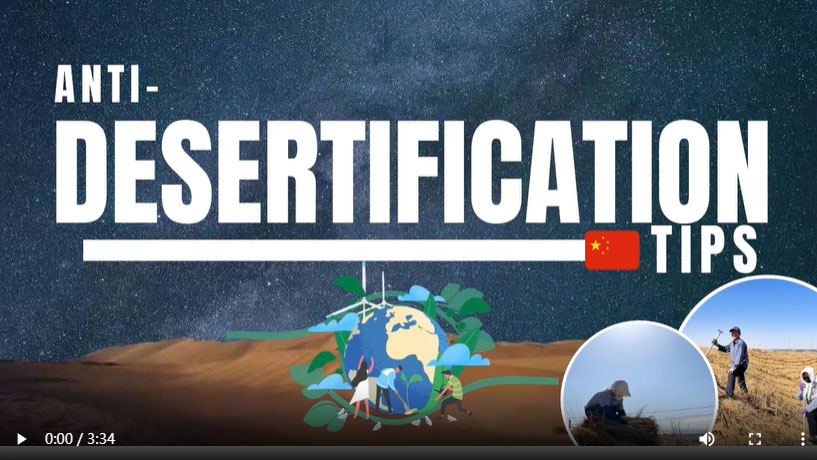 China's magical straw checkerboard: turning desert into lush land