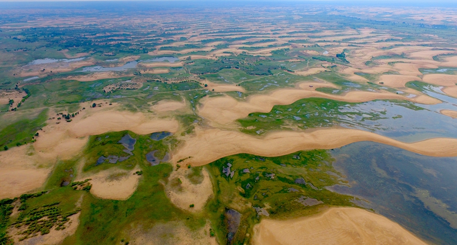 Wushen banner in N China's Inner Mongolia turns Maowusu Desert green through continuous, targeted efforts