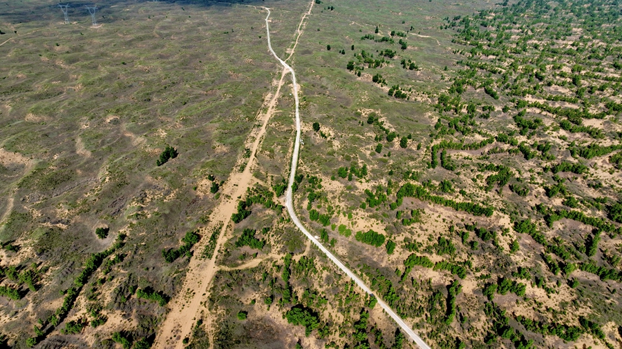 Wushen banner in N China's Inner Mongolia turns Maowusu Desert green through continuous, targeted efforts