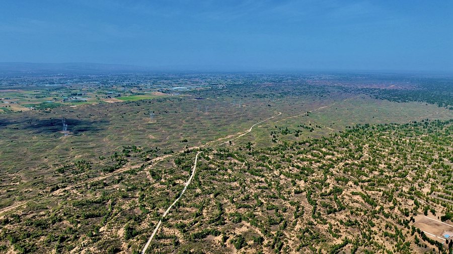 Wushen banner in N China's Inner Mongolia turns Maowusu Desert green through continuous, targeted efforts