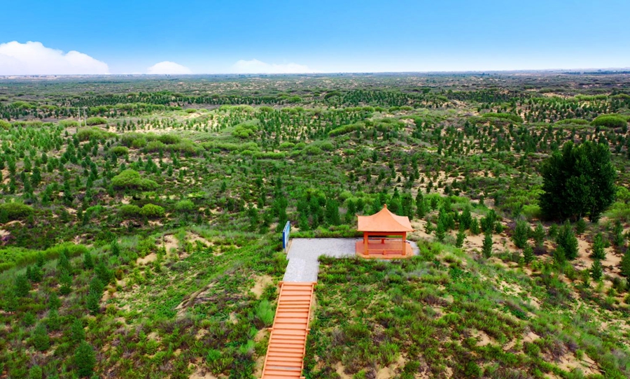 Wushen banner in N China's Inner Mongolia turns Maowusu Desert green through continuous, targeted efforts