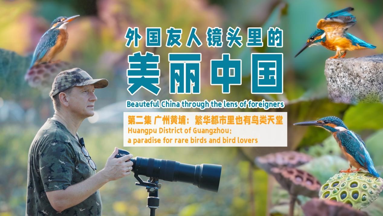 Huangpu District of Guangzhou: a paradise for rare birds and bird lovers