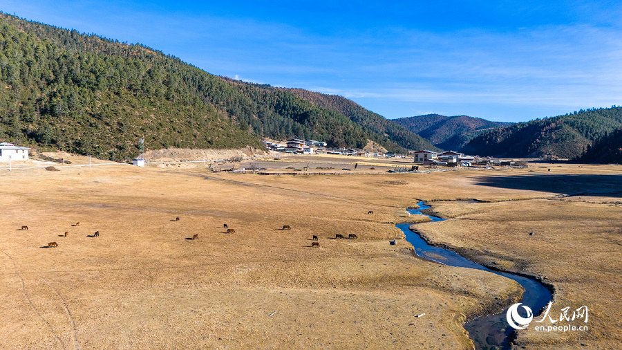 Picturesque early winter scenery in Shangri-La National Park in SW China's Yunnan