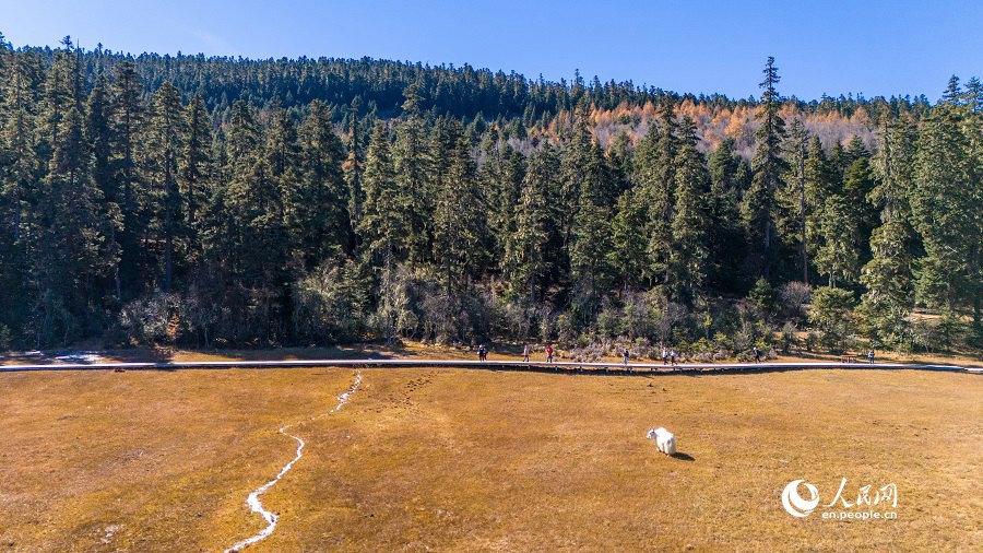 Picturesque early winter scenery in Shangri-La National Park in SW China's Yunnan