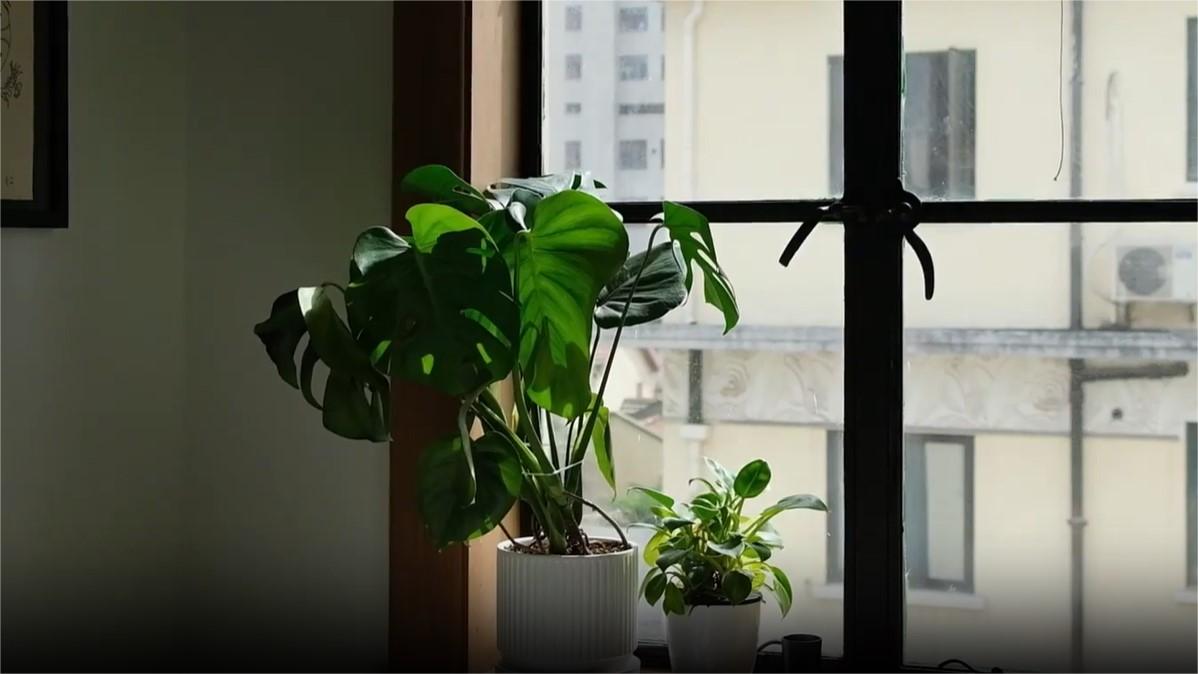 Living in Shanghai: How to decorate a Shanghai-style apartment?