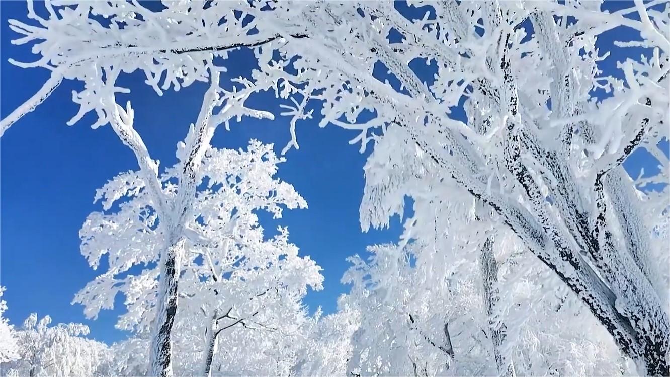 Dreamlike rime scenery seen in Jilin