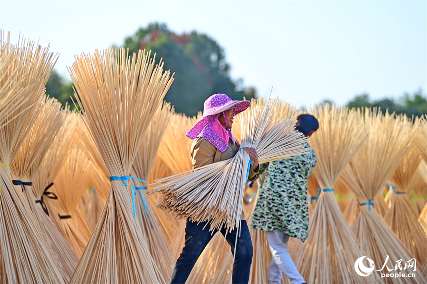 Bamboo industry thrives in Guangchang county, China's Jiangxi