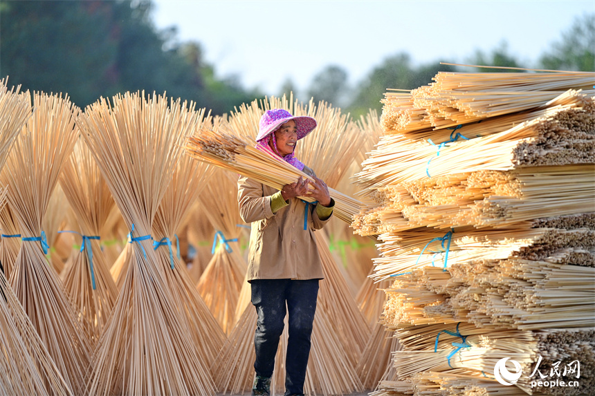 Bamboo industry thrives in Guangchang county, China's Jiangxi
