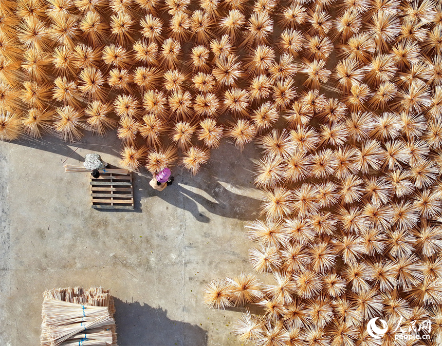 Bamboo industry thrives in Guangchang county, China's Jiangxi